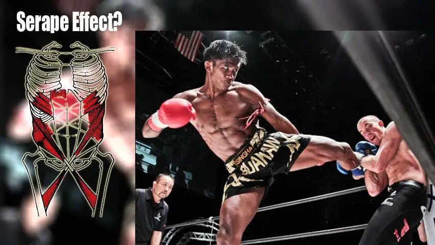 Quelle: https://heatrick.com/2015/01/17/muay-thai-the-serape-effect/
