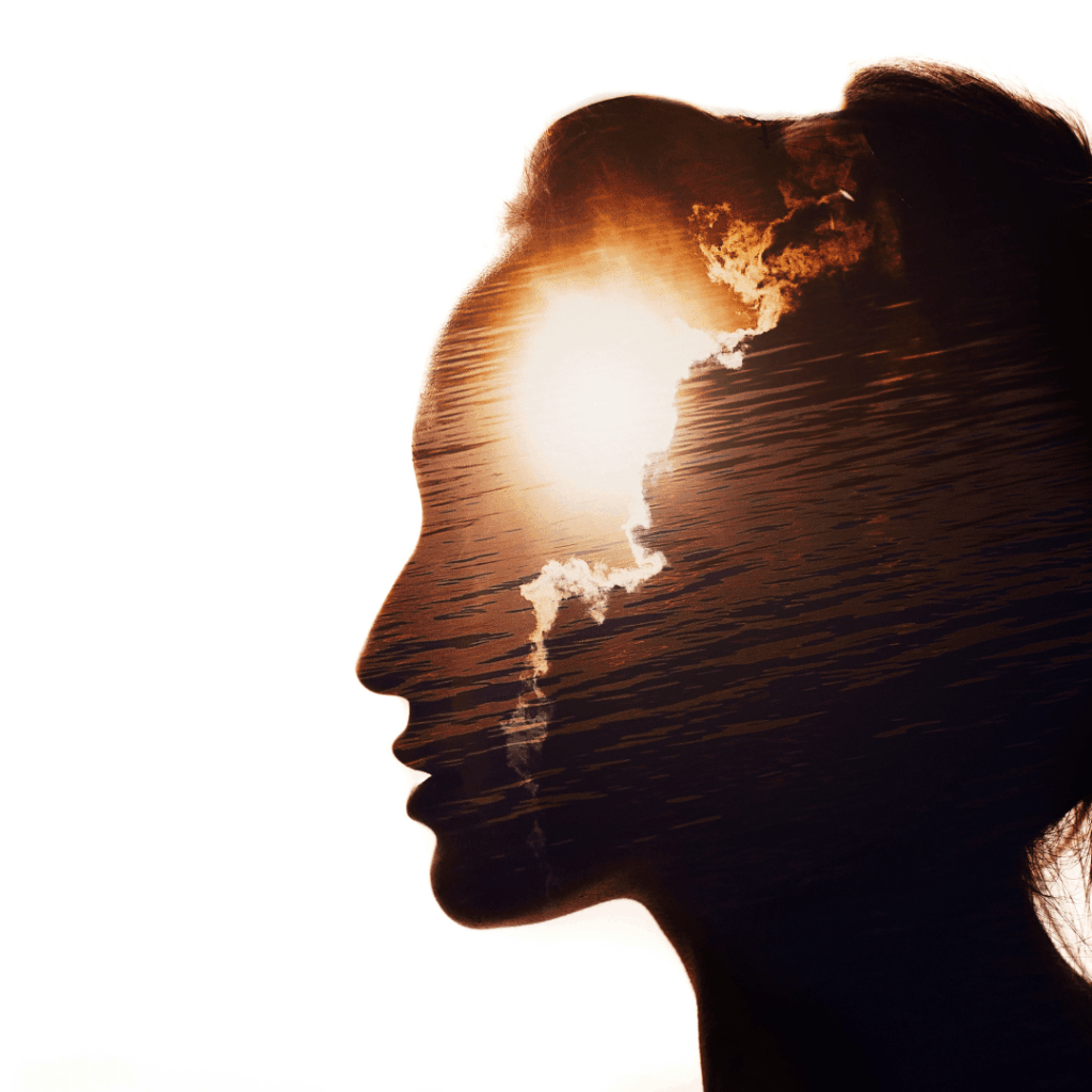 Emotionale Intelligenz: Der Schlüssel zu besseren Beziehungen und besserem Selbstschutz Emotionale Intelligenz